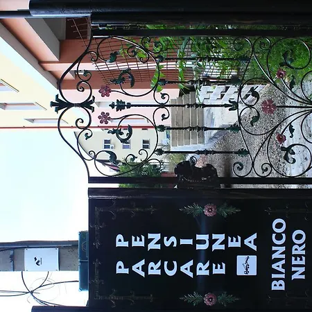 Bianco Nero Bed & Breakfast Timisoara